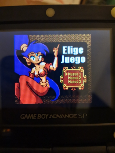 Shantae Game Cartridge Nintendo GBC Version USA EUR 16 Bit