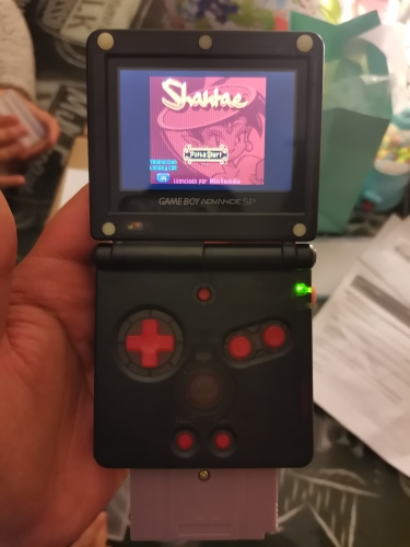 Shantae Game Cartridge Nintendo GBC Version USA EUR 16 Bit