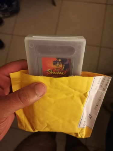 Shantae Game Cartridge Nintendo GBC Version USA EUR 16 Bit